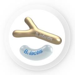 Β. Infantis & B. Lactis