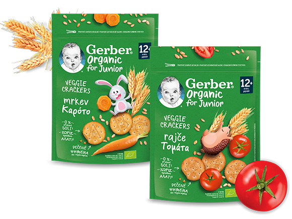 Gerber Organic Crackers