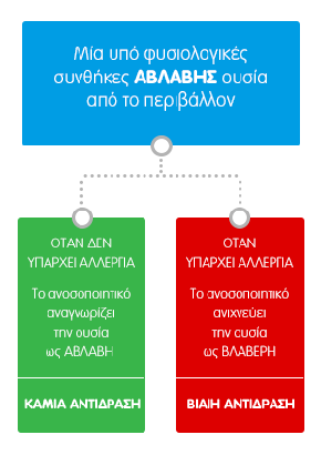 Γραφικό που περιγράφει αν ανιχνεύει το ανοσοποιητικό μία ουσία ως αβλαβη ανάλογα την αλλεργική ευαισθησία. 