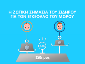 Απόφυγε την Έλλειψη Σιδήρου στο Παιδί σου Απόφυγε την Έλλειψη Σιδήρου στο Παιδί σου