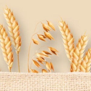 gluten-header-2123x252_1 gluten-header-2123x252_1
