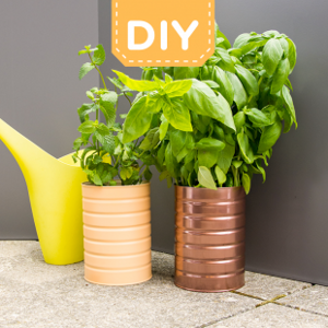 DIY Γλαστράκια με αρωματικά φυτά DIY Γλαστράκια με αρωματικά φυτά