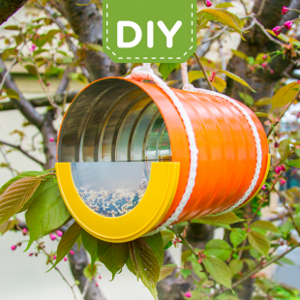 DIY Ταΐστρα για πουλιά DIY Ταΐστρα για πουλιά