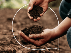 Healthy soil for a healthy future