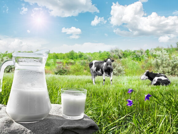 Το βιολογικό γάλα είναι καλύτερο από το συμβατικό;