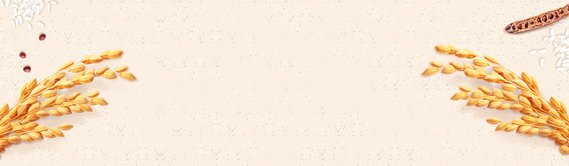 1920x560_Sinlac 1920x560_Sinlac
