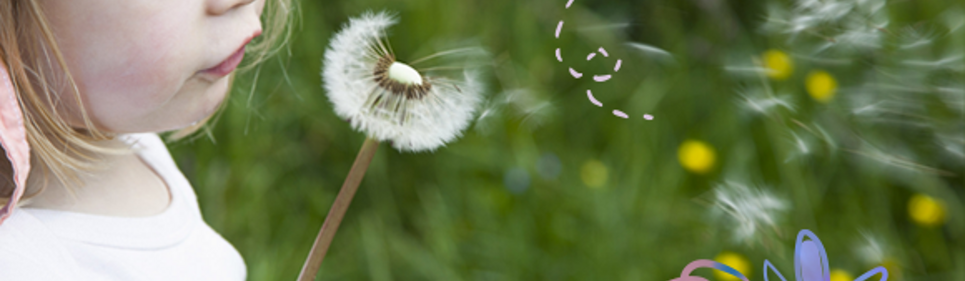 banner_allergy banner_allergy