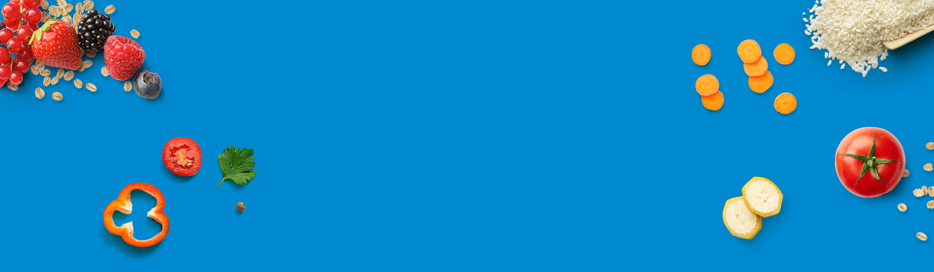 Header-1920x560_Gerber-Brand-page Header-1920x560_Gerber-Brand-page