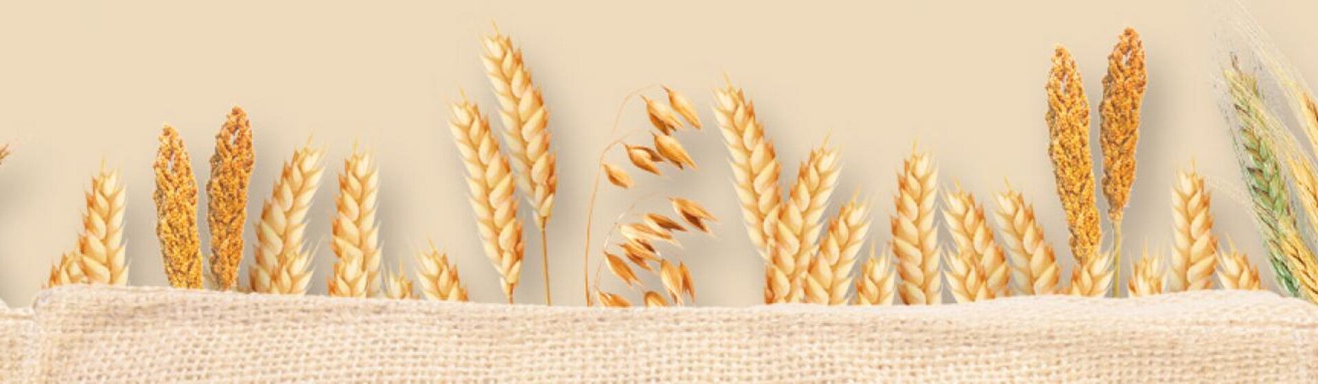 gluten-header-2123x252_1