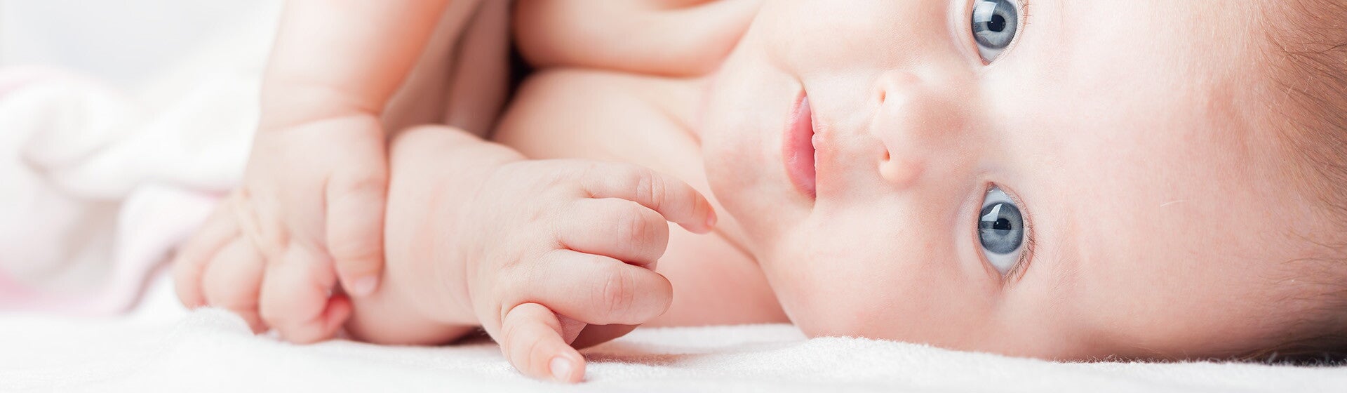 header_1920x560_2_istock header_1920x560_2_istock