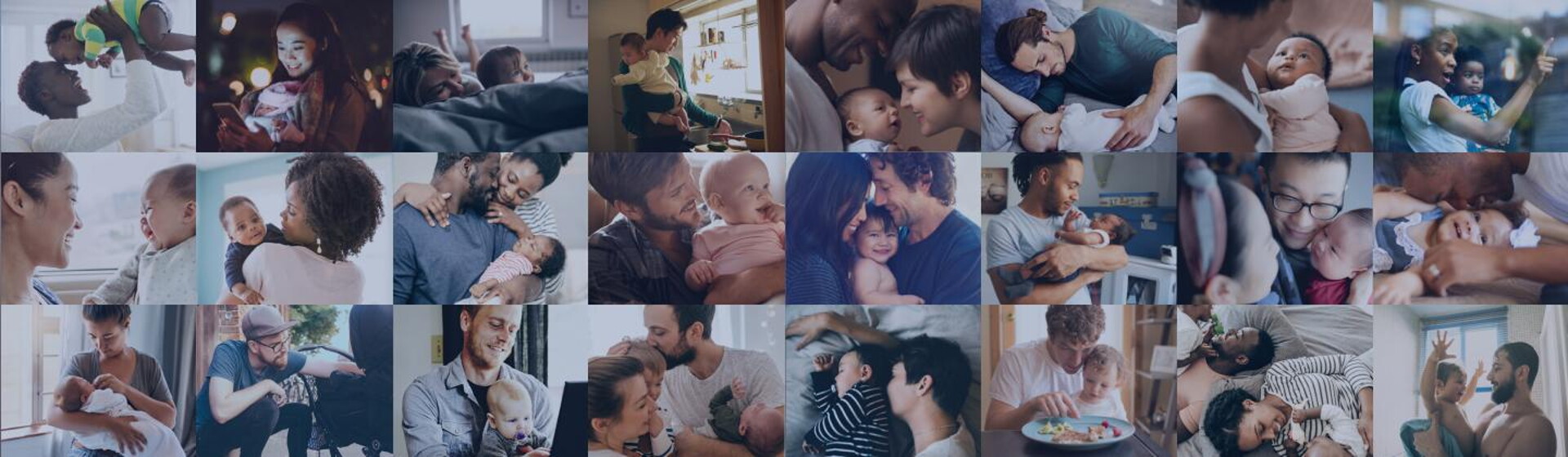 header_d header_d