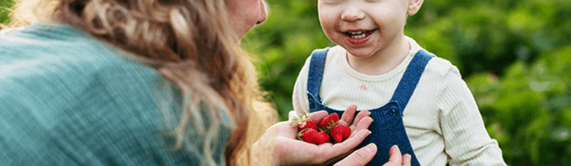 Parents, quality is our promise. The Gerber® word.