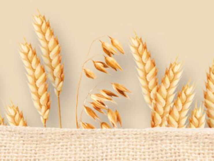 gluten-header-2123x252_1 gluten-header-2123x252_1