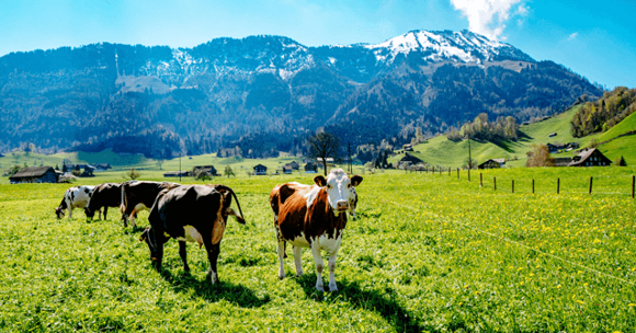 640x335px_gettyimages-678833993_super_0 640x335px_gettyimages-678833993_super_0