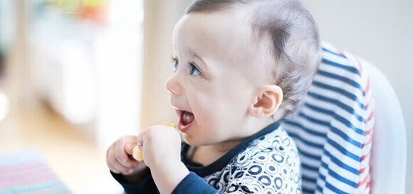 Family mealtimes_02_LEARN_Adventures in feeding_04.jpg  Family mealtimes_02_LEARN_Adventures in feeding_04.jpg