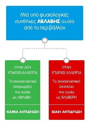 Γραφικό που περιγράφει αν ανιχνεύει το ανοσοποιητικό μία ουσία ως αβλαβη ανάλογα την αλλεργική ευαισθησία.  Γραφικό που περιγράφει αν ανιχνεύει το ανοσοποιητικό μία ουσία ως αβλαβη ανάλογα την αλλεργική ευαισθησία.